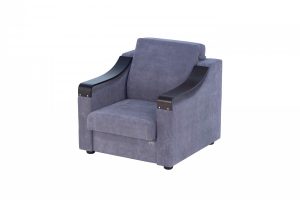 Fotoliu N-5 ZB4 (Extensibil)